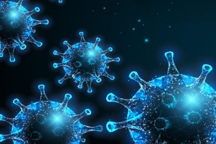 Gejala virus Nipah yang meliputi demam, sesak napas, hingga penurunan kesadaran (koma) berdasarkan data WHO dan CDC.