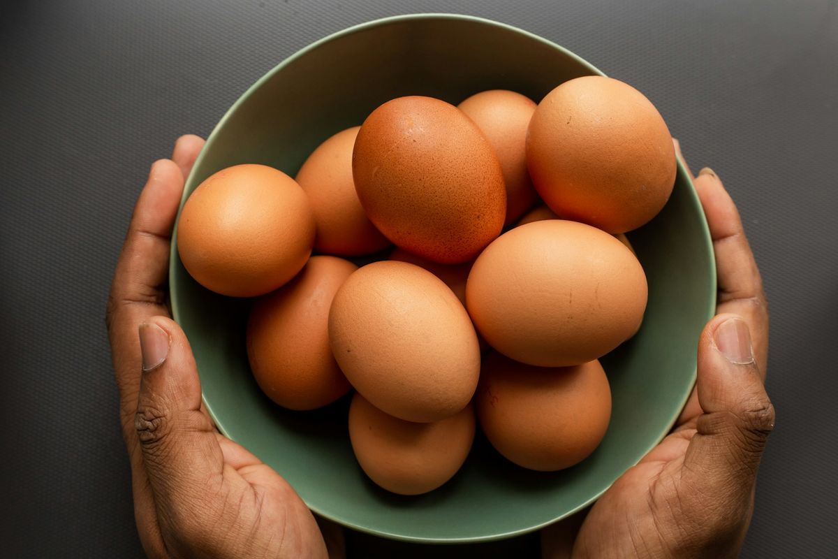 Ilustrasi menu telur rebus dan orak-arik yang kaya nutrisi kolin untuk mendukung fungsi kognitif dan daya ingat otak.